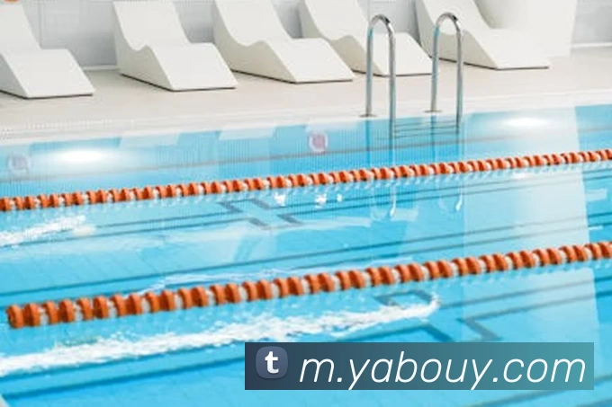 亚博体育平台生态图