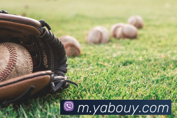 亚博体育全站App